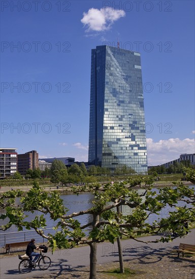 Mainpromenade with the ECB European Central Bank on the River Main, Frankfurt am Main, Hesse, Germany, Europe
