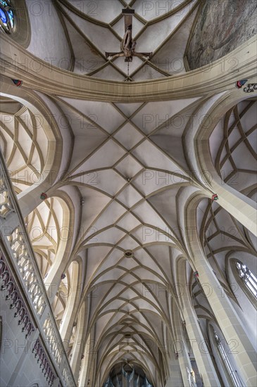 Cross vault of the late Gothic St John's Church, Kitzingen, Lower Franconia, Bavaria, Germany, Europe
