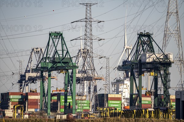 The port of Antwerp, on the Scheldt, is the second largest seaport in Europe, container port DP World Antwerp Gateway quay, Flanders, Belgium, Europe