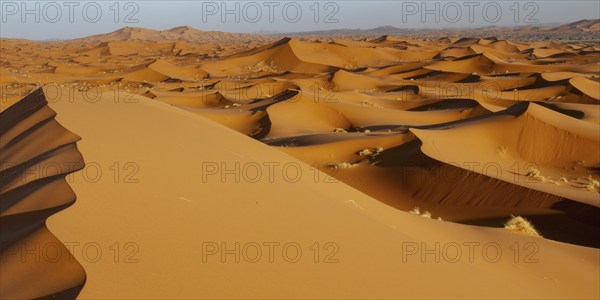 Sand dunes, Erg Chebbi, Sahara, Southern Morocco, Morocco, Africa