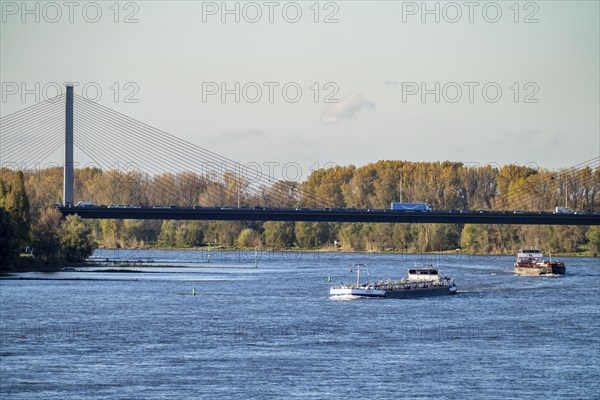 Friedrich Ebert Bridge over the Rhine near Bonn, also known as the North Bridge, motorway bridge on the A565, cable-stayed bridge, cargo ships, North Rhine-Westphalia, Germany, Europe