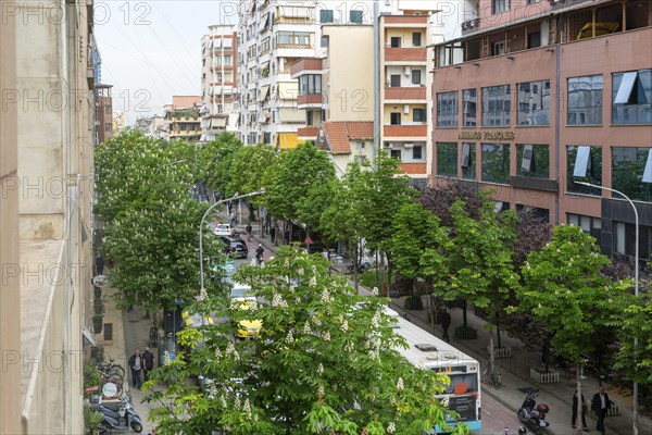 Looking down on treelined street vehicles traffic cars taxis buses in city centre of Tirana, Albania, Europe