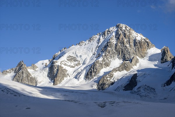 High alpine mountain landscape, summit of the Aiguille de Chardonnet and Glacier du Tour, glaciers and mountain peaks, Chamonix, Haute-Savoie, France, Europe