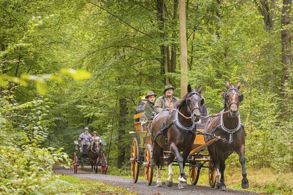 Presentation and route ride, all carriages in stylish tension, popular sporting event over approx. 30 km. An event organised by Reit- und Fahrverein Moritzburg e.V., 29th Moritzburger Teichrundfahrt, Moritzburg, Saxony, Germany, Europe