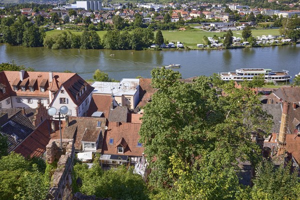 Motorboat and excursion boats on the River Main near Miltenberg, Lower Franconia, Miltenberg district, Bavaria, Germany, Europe