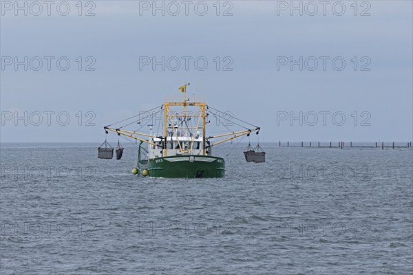 Mussel fisherman near Föhr, North Frisia, Schleswig-Holstein, Germany, Europe