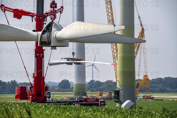 Dismantling of a wind power plant in a wind farm near Issum, 9 older wind turbines from the manufacturer Enercon (model series E-58), front, blades being dismantled, were in operation for over two decades, will be replaced by a total of four Enercon E-160 turbines, rear, assembly of the first blade, with a total output of 22 megawatts, Lower Rhine, North Rhine-Westphalia, Germany, Europe