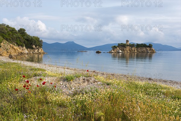 Picturesque beach with a view of an island in the calm sea, Nisiotissa beach, in the north of the island of Euboea, Central Greece, Greece, Europe
