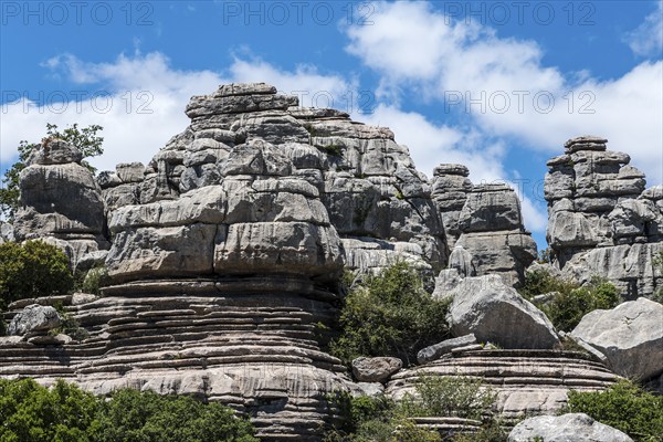 Massive rock formations under a blue sky with white clouds and green vegetation, karst mountains, Torcal Alto, El Torcal de Antequera, Sierra del Torcal, Malaga, Andalusia, Spain, Europe