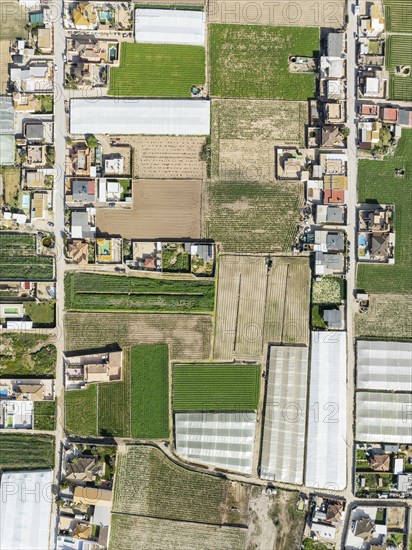 The semi rural district of La Algaida with its cultivated fields next to Sanlúcar de Barrameda. Aerial view. Drone shot. Cádiz province, Andalusia, Spain, Europe