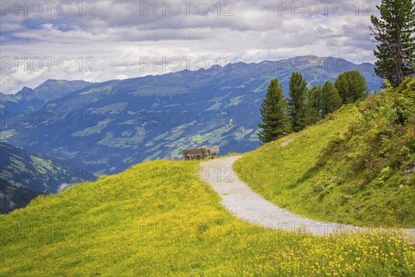 Hiking trail to a bench with a marvellous view of the mountains and surrounding meadows, Penken, Zillertal. Austria