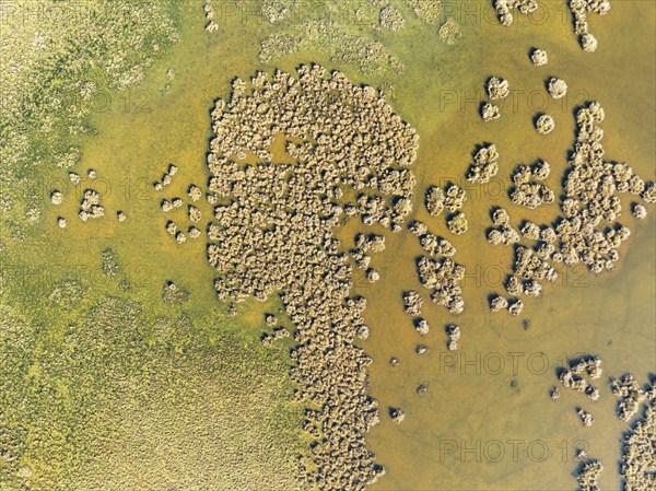Detail of marshland near Sanlúcar de Barrameda. Aerial view. Drone shot. Cádiz province, Andalusia, Spain, Europe