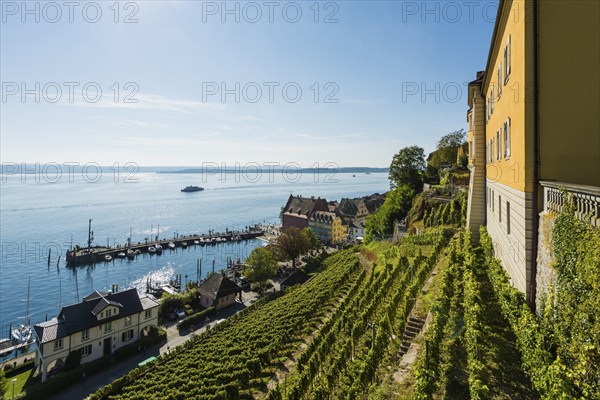Lake Constance and vineyards, Meersburg, Lake Constance, Baden-Württemberg, Germany, Europe