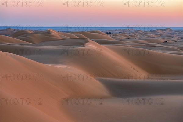 Sand dunes in the desert, near Duqm, Oman, Asia