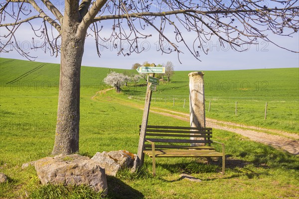 Fields near Karsdorf, Quoren and Possendorf. Prayer column on the pilgrimage route, Karsdorf, Saxony, Germany, Europe