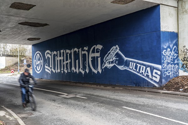 Wall murals, fan paintings of the Bundesliga club FC Schalke 04, at the Schalke stadium, Veltins Arena, road tunnel, in Gelsenkirchen, North Rhine-Westphalia, Germany, Europe
