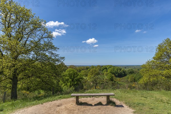 Svanninge Bakker, Faaborg, wooded heights in southern Funen, nature reserve, recreation, hiking, bench, viewpoint, South Funen, Denmark, Europe