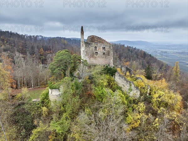 Aerial view of the ruins of Altbodman on the Bodanrück, above the village of Bodman in autumn vegetation, Lake Constance, Bodman-Ludwigshafen, district of Constance, Baden-Württemberg, Germany, Europe