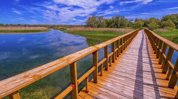 Tablas de Daimiel National Park, Daimiel, Ciudad Real, Castilla La Mancha, Spain, Europe
