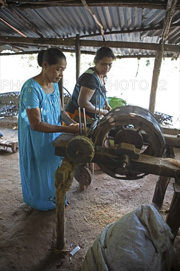 Sri Lankan woman spinning coconut fibres, Matale, Central Province, Sri Lanka, Asia