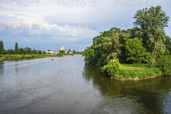 Oder landscape in Upper Silesian Brzeg, Powiat Brzeski, Opole Voivodeship, Poland, Europe