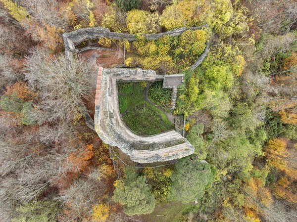 Aerial view, top down view of the ruin Altbodman on the Bodanrück, above the village Bodman in autumn vegetation, Lake Constance, Bodman-Ludwigshafen, district Constance, Baden-Württemberg, Germany, Europe