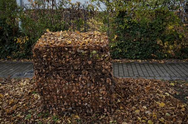 Filled leaf collection bin, collection bin for leaves in places with many trees along the roadside, full, pavement, residential area, autumn, Stuttgart, Baden-Württemberg, Germany, Europe