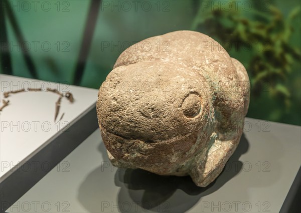 Carved stone frog or toad, archaeological site and museum of Templo Mayor, Mexico City, Mexico, Central America