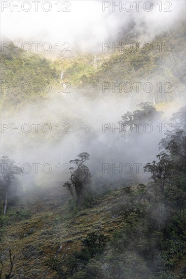 A new morning dawning at Doutful Sound, clouds hanging low in the mountains, South Island of New Zealand