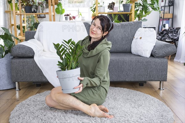 Unpretentious and popular Zamioculcas in the hands of a woman in the interior of a green house with shelving collections of domestic plants. Home crop production