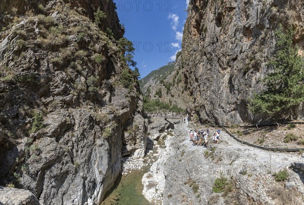 A picture of the classic Samaria Gorge landscape, with rocks on the ground and surrounding trees and mountains