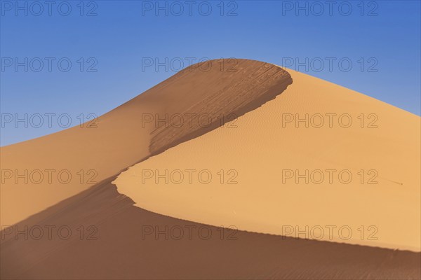 Picturesque dunes in the Erg Chebbi desert, part of the African Sahara, Morocco, Africa