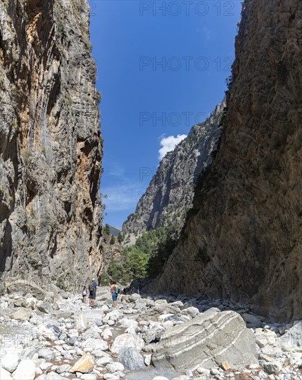 A picture of the classic Samaria Gorge landscape, with rocks on the ground and surrounding trees and mountains