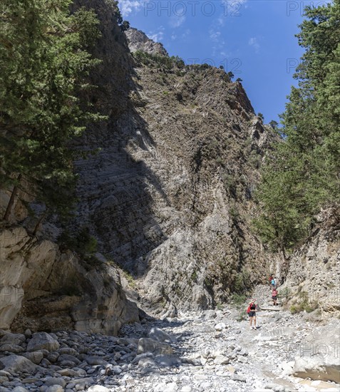 A picture of the classic Samaria Gorge landscape, with rocks on the ground and surrounding trees and mountains