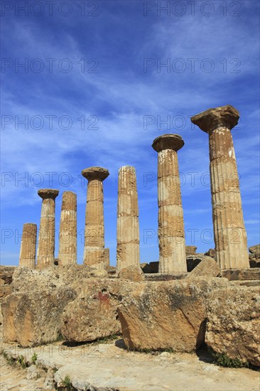 In the Parco Valle dei Templi di Agrigento, Unesco World Heritage Site, remains of the ancient city of Akragas in the Valley of the Temples of Agrigento, Tempio di Ercole, the columns of the Temple of Heracles, Sicily, Italy, Europe