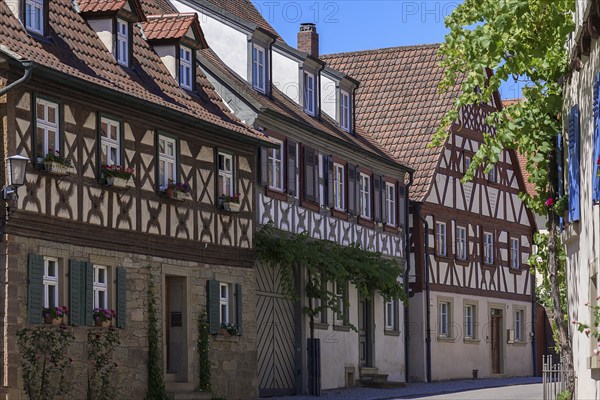 Historic half-timbered houses, 17th century Zeil am Main, Lower Franconia, Bavaria, Germany, Europe