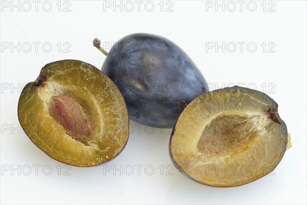 Plums (Prunus domestica), fruit, fruit, crop, cut out, object, indoor, studio, landscape, horizontal, food, foodstuff