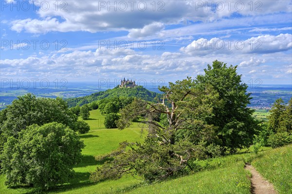 View of Hohenzollern Castle, the ancestral seat of the Hohenzollern dynasty, from the Zeller Horn on the Raichberg on the Zollernalb, Swabian Alb near Albstadt, Burladingen and Hechingen, Baden-Württemberg, Germany, Europe