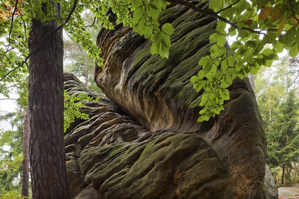 Dippoldiswalder Heide, Einsiedlerstein