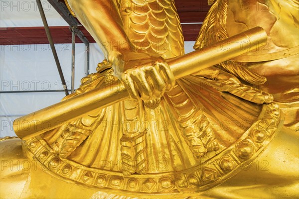 Golden Rider close-up