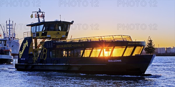 HVV harbour ferry MS Ovelgönne with fir tree in regular service at sunrise on the Norderelbe, Port of Hamburg, Hamburg, Germany, Europe