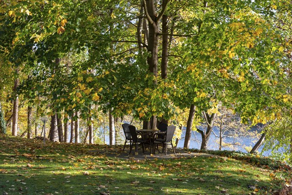 Colourful autumn leaves, sitting area in autumn, Drosedow, Mecklenburg-Western Pomerania, Germany, Europe