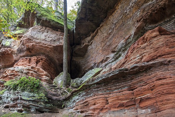 Old castle rock, red sandstone rock formation, natural and cultural monument, Brechenberg near Eppenbrunn, Palatinate Forest, Rhineland-Palatinate, Germany, Europe