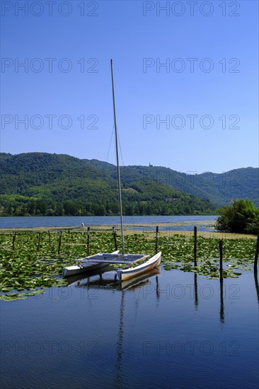 Lago di Firmon, Colli Berici near Vicenza, Veneto, Veneto, Italy, Europe