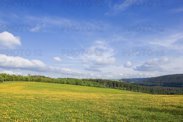Landscape near Frauenstein