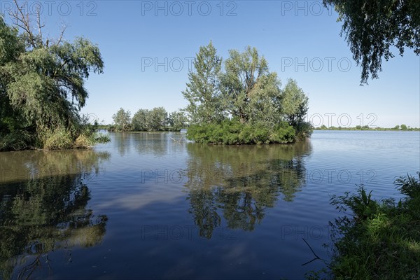 Puszta and steppe landscape in Hortobagy National Park, Hortobagy Nemzeti Park, UNESCO Biosphere Reserve. Hortobagy, Debrecen, Hungary, Southeast Europe, Europe