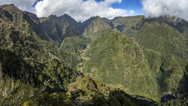 Densely overgrown steep mountains, green mountain landscape, view from the Miradouro dos Balcões, mountain valley Ribeira da Metade and the central mountains, Madeira, Portugal, Europe
