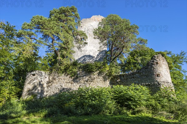 The Altbodman castle ruins on the Bodanrück, Bodman-Ludwigshafen, Constance district, Baden-Württemberg, Germany, Europe