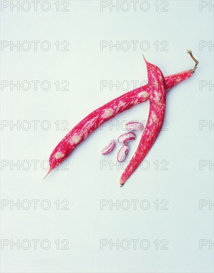 Borlotti bean, saliga bean, borlotti beans, saliga beans
