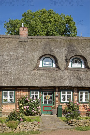 Thatched-roof house, Egestorf, Lower Saxony, Germany, Europe